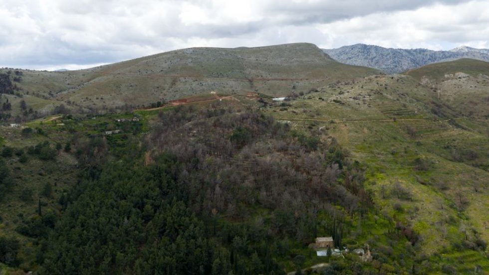 2.000 νέα δέντρα από το φυσικό μεταλλικό νερό ΒΙΚΟΣ σε Χίο και Βόρεια Εύβοια